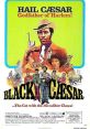 Black Caesar (1973) Raised in Harlem, Tommy Gibbs becomes a successful mob boss but he clashes with the rival Mafia and his