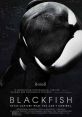 Blackfish (2013) Notorious killer whale Tilikum is responsible for the deaths of three individuals, including a top killer
