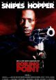 Boiling Point (1993) A pair of sociopath killers take on the police and the mob in order to make one last big score. Cast:
