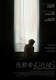 The Burning Plain (2008) A drama with a two-tiered storyline concerning a mother and daughter who try to form a bond after
