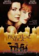 Practical Magic (1998) Two witch sisters, raised by their eccentric aunts in a small town, face closed-minded prejudice and a
