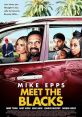 Meet the Blacks (2016) As Carl Black gets the opportunity to move his family out of Chicago in hope of a better life, their