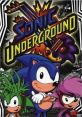 Sonic Underground (1999) Sonic and his royal siblings seek to find their mother and defeat the tyrant, Robotnik. Cast: