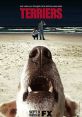 Terriers (2010) Ex-cop and recovering alcoholic Hank Dolworth partners with his best friend, former criminal Britt Pollack,