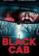 Black Cab (2024) A couple who find their jovial cab driver diverts them to a remote, haunted road, revealing disturbing