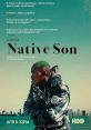 Native Son (2019) A young African-American living in Chicago enters into a seductive new world of money and power after he is