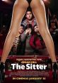 The Sitter (2011) A college student on suspension is coaxed into babysitting the kids next door, though he is fully