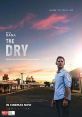 The Dry (2020) Aaron Falk returns to his drought-stricken hometown to attend a tragic funeral. But his return opens a