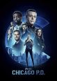 Chicago P.D. (2014) Follows District 21 of the Chicago Police Department, made up of two different groups: the uniformed cops