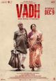 Vadh (2022) After their son moves to USA, a middle-class married couple is relentlessly harassed by a loan shark. Cast: