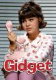 Gidget (1965) Gidget is a bright, winsome fifteen-and-a-half year old California teenager. Cast: Gidget: Sally Field