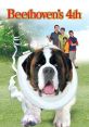 Beethoven's 4th (2001) The family is pleasantly surprised and puzzled when Beethoven suddenly becomes obedient. Turns out