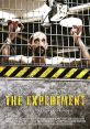 The Experiment (2010) 26 men are chosen to participate in the roles of guards and prisoners in a psychological study that