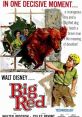 Big Red (1962) A wealthy sportsman's decision to hire a backwoods orphan to exercise a champion Irish Setter has unexpected