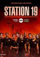 Station 19 (2018) This spinoff of the critically acclaimed show Grey's Anatomy follows the lives of the men and women of