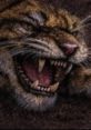 Fierce tiger snarling with bared teeth, showcasing intricate fur details and powerful expression. Ideal for wildlife enthusiasts.