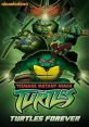 Turtles Forever (2009) The Teenage Mutant Ninja Turtles meet their match -- Literally! The modern, gritty Ninja Turtles