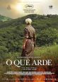 Fire Will Come (2019) Amador returns home to his aging mother after serving a sentence for arson. He tries to adapt to