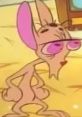 Ren Höek (Ren And Stimpy Show) Played by: John Kricfalusi Species: Chihuahua TV show: The Ren & Stimpy Show Creator: John