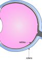 Eye The opal of my eye