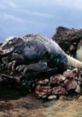 Powerful creature from Dinotank resting on rocky terrain, showcasing intricate design and formidable presence.