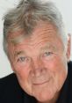 Bo Svenson (News) Bo Svenson (born 13 February 1941) is a Swedish-American actor, director, producer, and screenwriter,