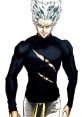 Garou