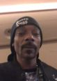 Snoop Dogg (V3) (Rapping) Type your text and hear it in the voice of Snoop Dogg (V3) (Rapping) by Princebarry