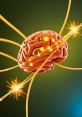 Brain Spark