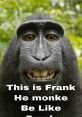 Frank The Monke