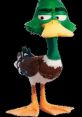 Dax Mallard
