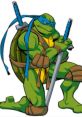 Leonardo (TMNT 2003)