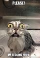 Wait A Minute... An Equals Sign... Noooooo Pleasee Nooooo Dont Do That Noooooo Please Please Im Begging You Im Sorry
