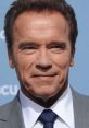 Arnold Schwarzenegger PARODY Arnold Schwarzenegger, the iconic action star, bodybuilder, and former Governor of