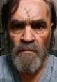 Charles Manson (Impressionist) Charles Manson is a unique and versatile impressionist known for his remarkable ability to