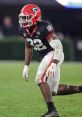 Monty Rice Monty Rice is a dynamic American football player, renowned for his exceptional skills on the field as a