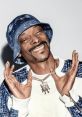 Snoop Dogg Parody The iconic Snoop Dogg parody, known as the OG Snoop D-O Double G, brings a unique twist to the world of