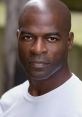 Hisham Tawfiq Hisham Tawfiq is an accomplished American actor best known for his compelling portrayal of Dembe Zuma in the