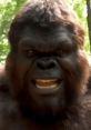 Buff Big Foot Buff Big Foot is a towering figure in the world of cryptids, standing at an impressive 7 feet tall and