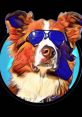 Willy Good Dog Willy Good Dog, an energetic and charismatic canine personality, has captured the hearts of dog lovers and
