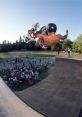 Christian Hosoi Christian Hosoi, an iconic professional skateboarder born in the 1960s, is widely regarded as one of the