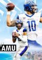 Jordan Ta’amu Jordan Ta’amu is a talented and dynamic professional football player known for his impressive skills as a