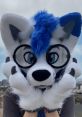 Jonas Jonas is a vibrant and dynamic content creator known for his captivating TikTok videos that showcase his playful and