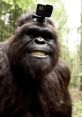 Bigfootboyz Bigfootboyz is a dynamic and engaging video creator known for bringing the mystical and wild world of cryptids