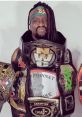 “The Franchise” Brad Alekxis Brad Alekxis, known as “The Franchise,” is a dynamic presence in the world of professional