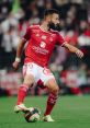 Franck Honorat Franck Honorat is an accomplished French professional football player, currently making waves in Ligue 1 with