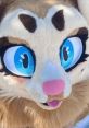 Honey Honey is a vibrant and energetic fursuiter who has captivated audiences with her engaging presence on platforms like