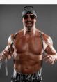 Johnny swinger Johnny Swinger is a dynamic and charismatic professional wrestler known for his engaging personality and