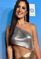 Michelle Saniei Lally Michelle Saniei Lally is a dynamic and spirited creative known for her captivating appearances on