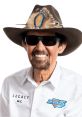 Richard Petty Richard Petty, often referred to as "The King of NASCAR," is a legendary figure in the world of motorsports,